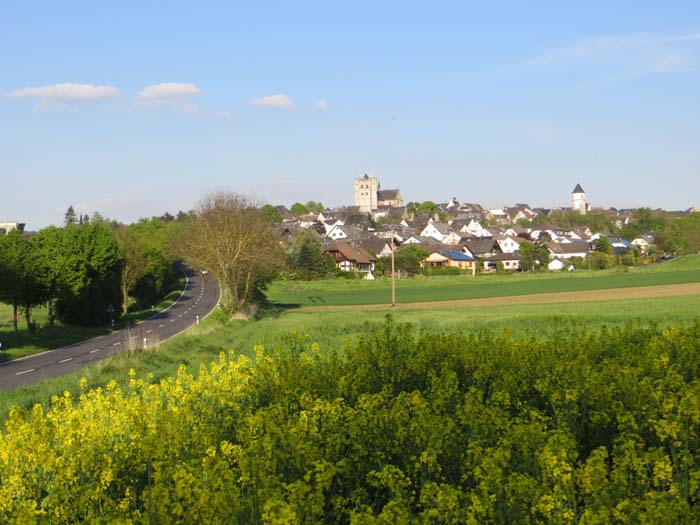 Osteifel - Münstermaifeld
